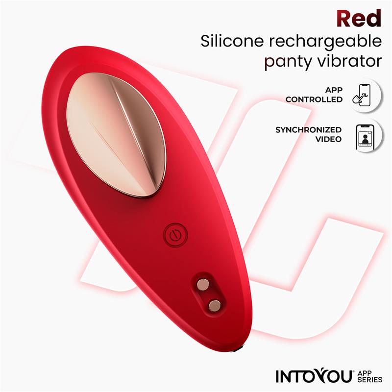 Into You Panty Vibrator With App