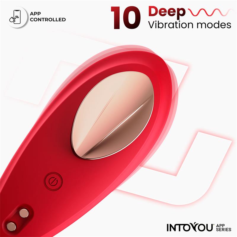 Into You Panty Vibrator With App