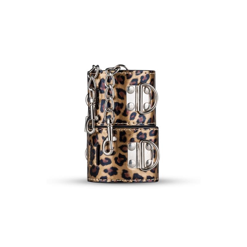 Salainen nautintoarkku Paha Villikissa