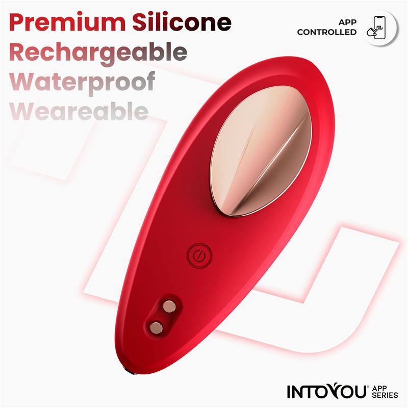 Into You Panty Vibrator With App