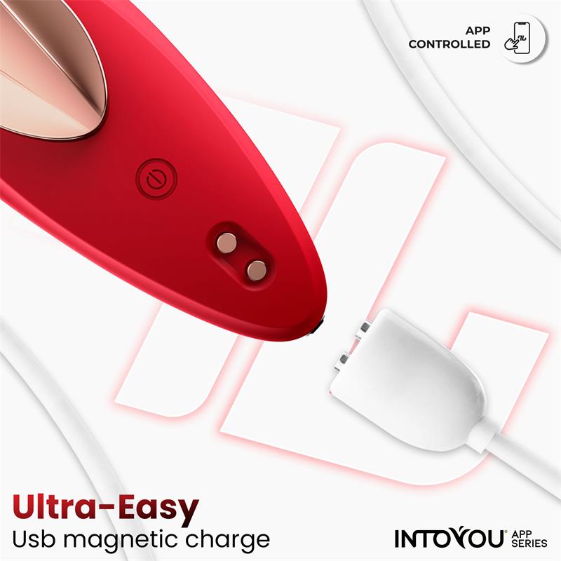 Into You Panty Vibrator With App