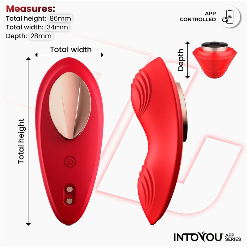 Into You Panty Vibrator With App